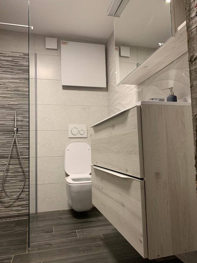 Apartma Sinitus 이졸라 외부 사진